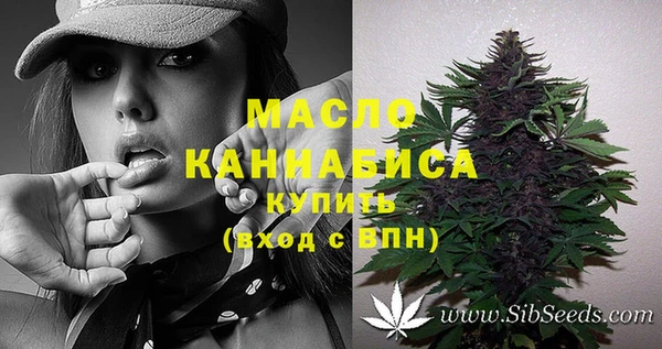 дмт Снежинск