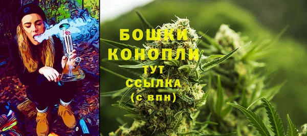 дмт Снежногорск